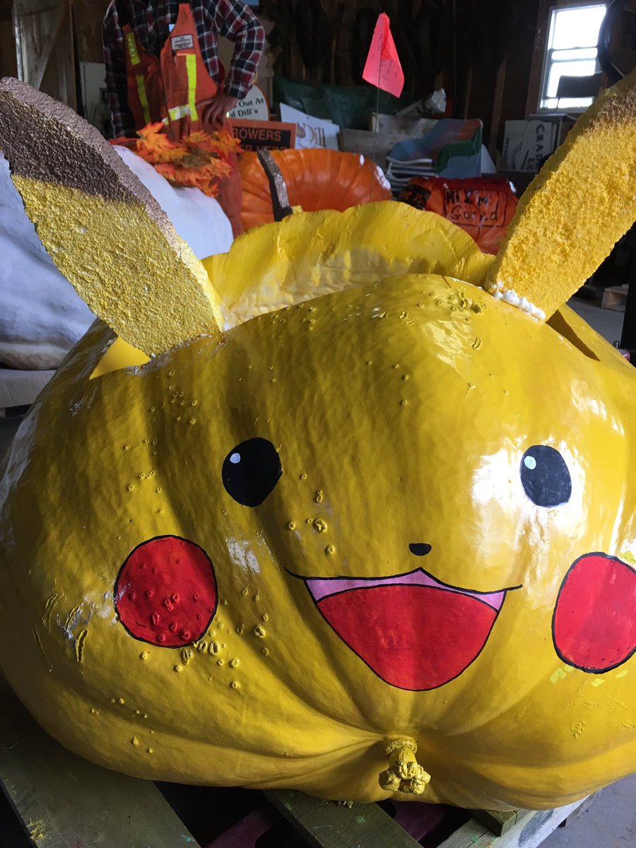 RegattaPumpkin's tweet photo. There are 50 personal vegetable craft registered in today's Windsor West Hants Pumpkin Regatta.   Here is a sampling of the pumpkin boats https://t.co/axcE0yHIvK