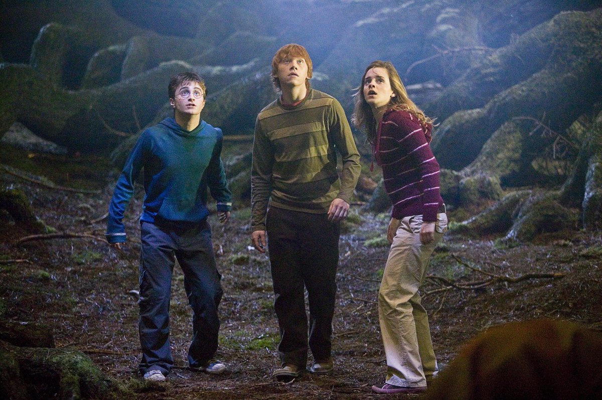 FreeformTV's tweet photo. "Sorry professor, I must not tell lies" Don't you just love savage Harry? #OrderOfThePhoenix  #ScaryPotterWeekend https://t.co/XmzW7zBDtx