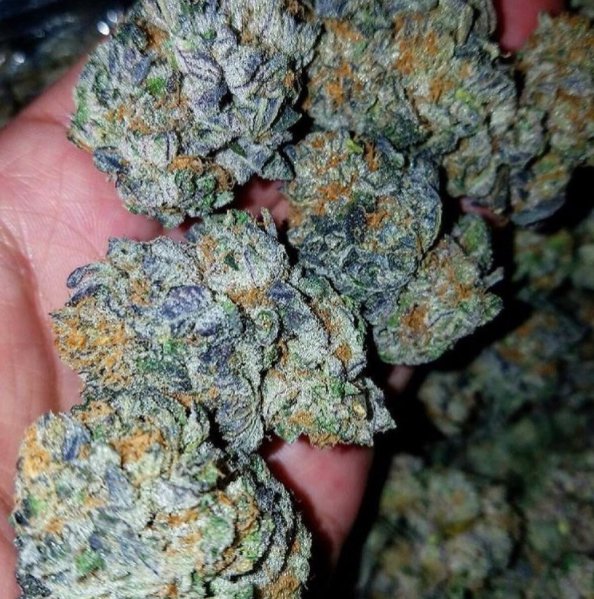 SmokePlug tweet picture