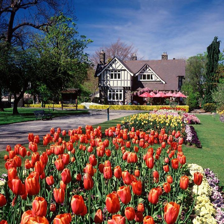 floristsnz's tweet photo. wOw my beautiful Christchurch - A scenic pic in Christchurch, New Zealand of the spring flowers in the botanical gardens!
#Flowers #Newzeal… https://t.co/hfyQYzAp07