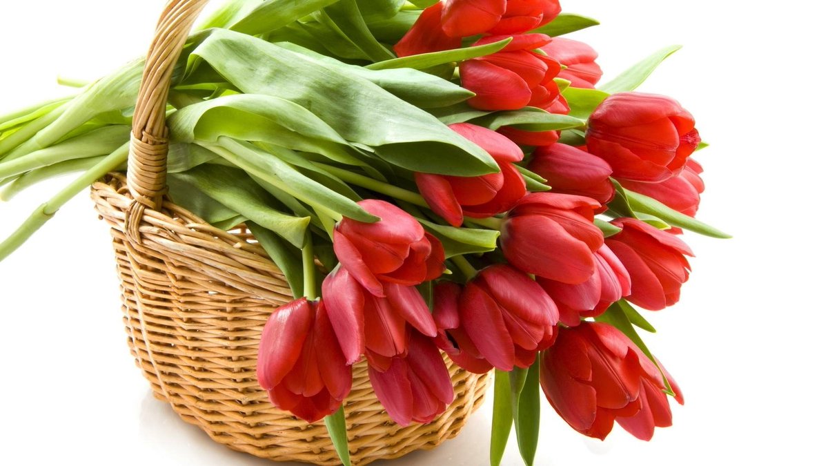 firest's tweet photo. #عيون_الكون_للدعم
#الصقر_الذهبي_للدعم
#نبض_التوت_للرتويت
#اناقة_حرف_للدعم
#قروب_عنيد_للدعم
#قروب_حبايب_للدعم
#بسمة_غلا_للدعم
#الامارات
#ﷺ https://t.co/7CnPmhwyFs