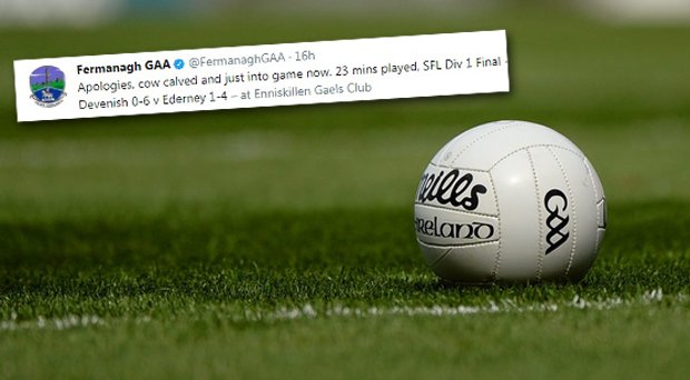 IndoSport's tweet photo. Did Fermanagh provide us with the GAA Tweet of the Year last night? https://t.co/mw331k7vmP https://t.co/Ct5GMvsFXv