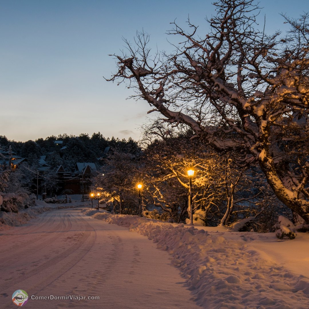 Comer Dormir Viajar tweet media