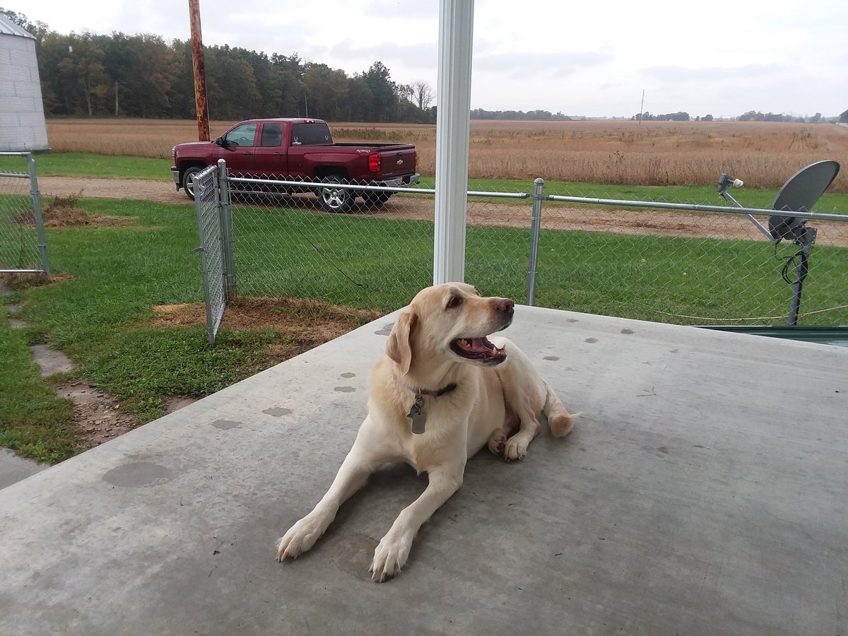 FMF_Outdoors's tweet photo. Somebody is ready to track a deer. Who's hunting this cold front hitting tonight? @BoneyardSeed @HuntressJackson @ILBOWHUNTING @HuntressView https://t.co/ZZYF4yfvqM
