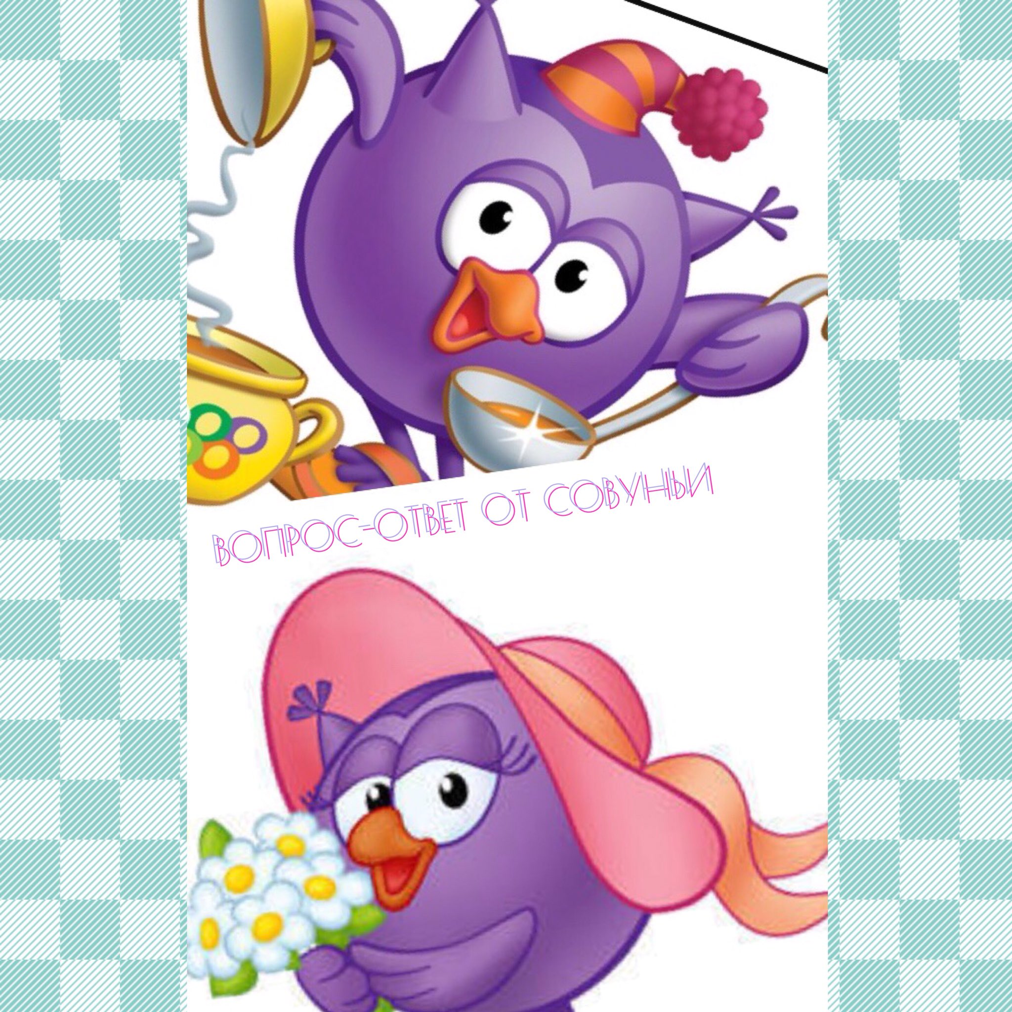 Нюша и Совунья