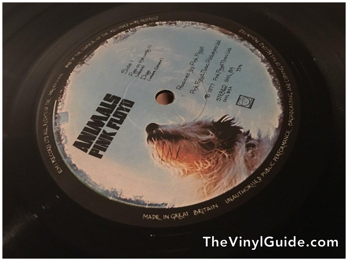 thevinylguide's tweet photo. The best #PinkFloyd LP in my humble opinion. #1stpressing UK #vinyl makes it even better. - https://t.co/OtXB5GobHt https://t.co/eikJ51lAfU