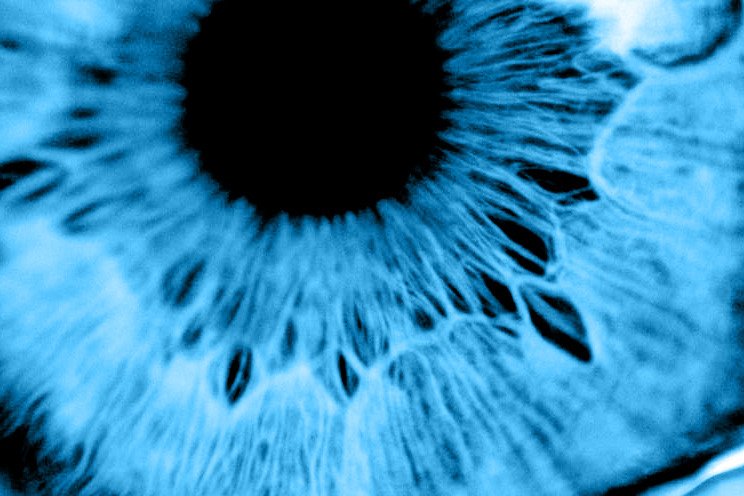 Archillect (@archillect) on Twitter photo 