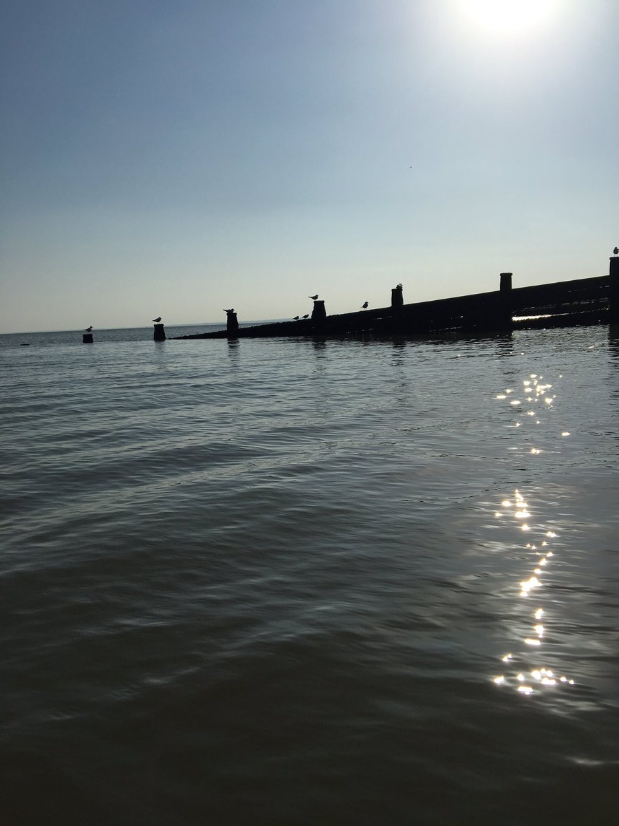 KnellTaylor's tweet photo. 🐚 #SaltWaterTherapy 🏊🏼‍♀️#TheBigWash #SunshineAndSea ☀️ #OctoberOutdoorSwim 🌊 #FeelingMighty ✌🏼 #Sunday ✨ https://t.co/92SGHE9cSt