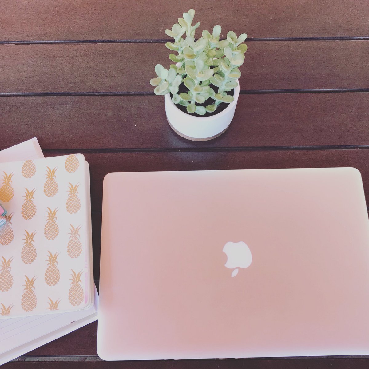 rasco_capital's tweet photo. Workin Hard #rascocapital #rascobuyshouses #sellfastforcash https://t.co/13kKyBBoEk