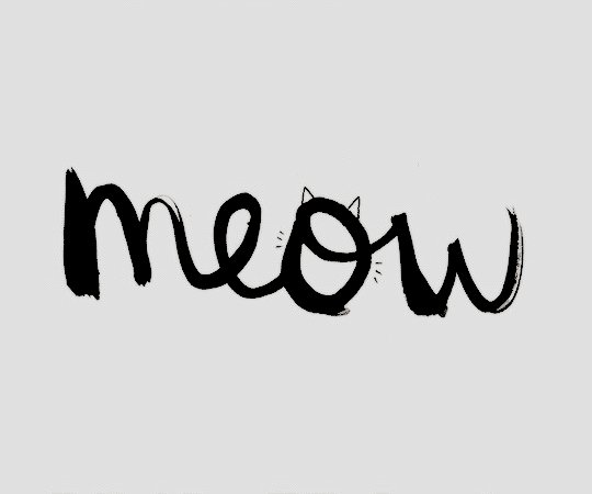 felinafatale's tweet photo. ⠀⠀⠀⠀〔 Tʜᴇ ɪɴғᴀᴍᴏᴜs Bʟᴀᴄᴋ Cᴀᴛ •̩̩͙┊🐱 〕

❝Mᴇ﹖ Iᴍ Bʟᴀᴄᴋ Cᴀᴛ, ᴀɴᴅ I ᴊᴜsᴛ ᴄʀᴏssᴇᴅ ʏᴏᴜʀ ᴘᴀᴛʜ.❞

♚ Sᴘɪᴅᴇʀ﹣Mᴀɴ Hᴏᴍᴇᴄᴏᴍɪɴɢ AU. 
♚ Sʜɪᴘs ᴡ/ Cʜᴇᴍ.

ʀ��﹖ https://t.co/ygrbzBsZJl