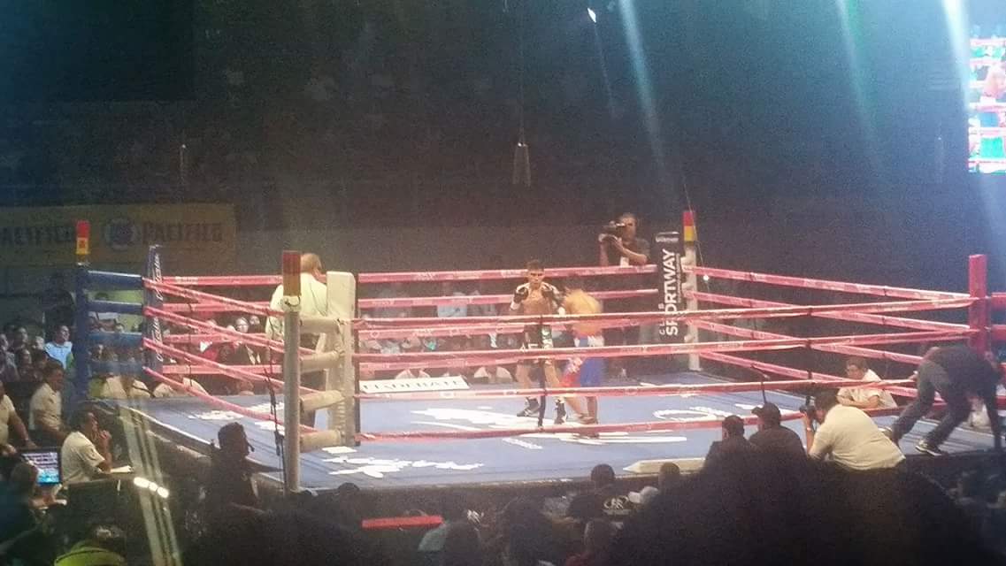 Hoy hace un año de la pelea de <a href="/pedringuevara/">Pedro Guevara</a>  en el CUM #Mazatlán.