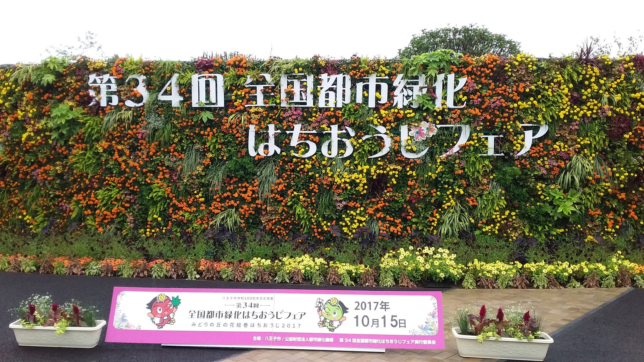 木林士水出健二on Twitter T Co 9xh8g4jdwg Twitter