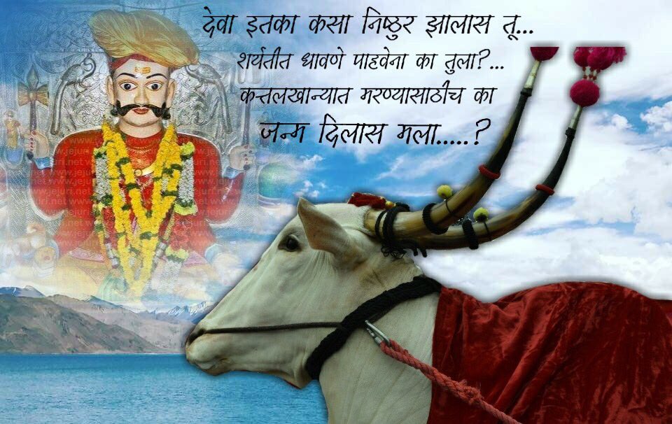 Suraj163834751's tweet photo. @CMOMaharashtra @PMOIndia   #highcourtmumbai
#suprimcourtofindia  #JusticeforBullockRace
#SaveNativeBulls #MHneedsBailgada https://t.co/R0IZeBrZBv