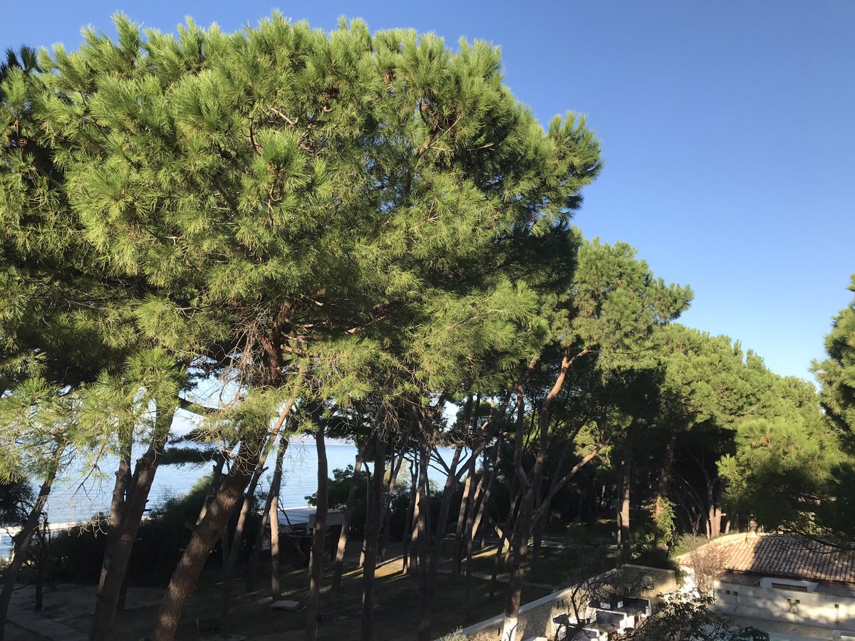 Andrea_Radic's tweet photo. Calabria #Praialonga 8,32 a.m. Felice domenica a tutti. Pronti e disponibili #sorrisi https://t.co/uU5Gm6gZ4N
