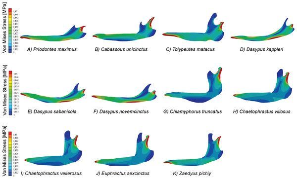 buy two component signaling