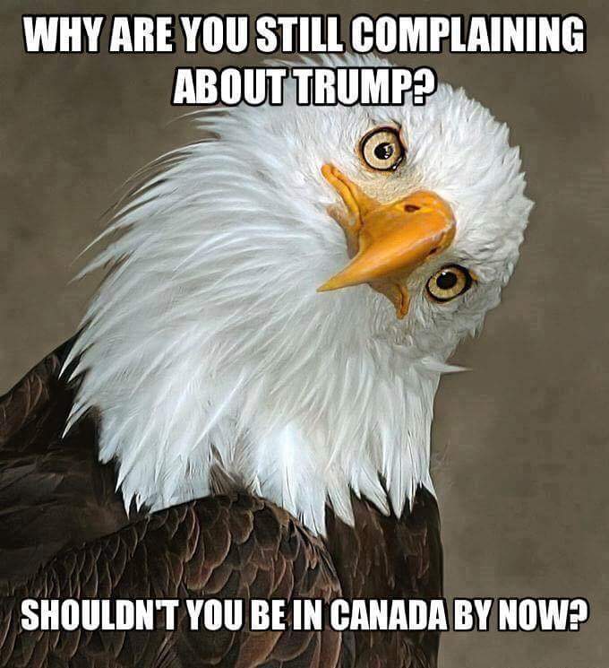 mdnetworkop's tweet photo. Dear Lib celebrities, Never Trumpers &amp; other haters,

Riddle me this... 

#MAGA
#TheNewRight by #up_viking https://t.co/TSGQPxoy8T