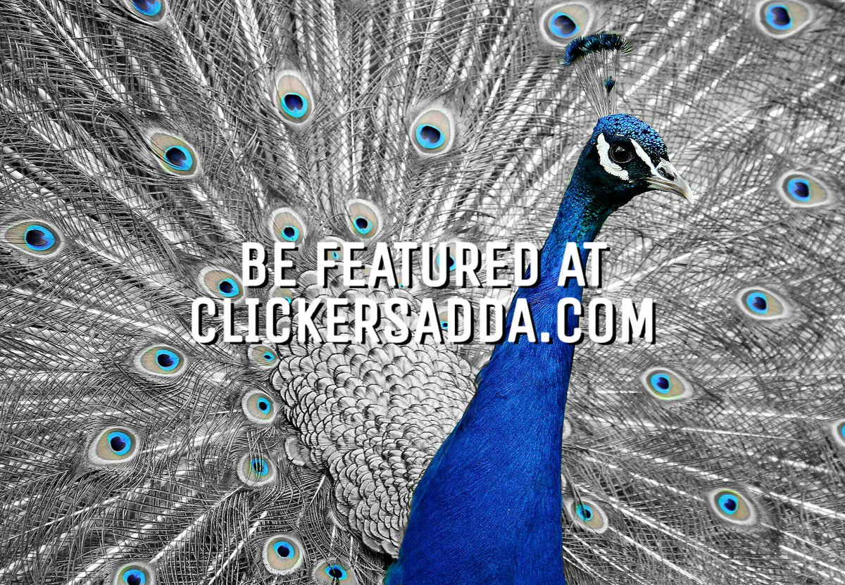 clickers_adda's tweet photo. #Find #Best #Wedding #Vendors in #Patna @  https://t.co/FfOAhWQuGY  #photography #photographer  #decorator #event #makeup #mehendi #artist https://t.co/3oLfWgV27T