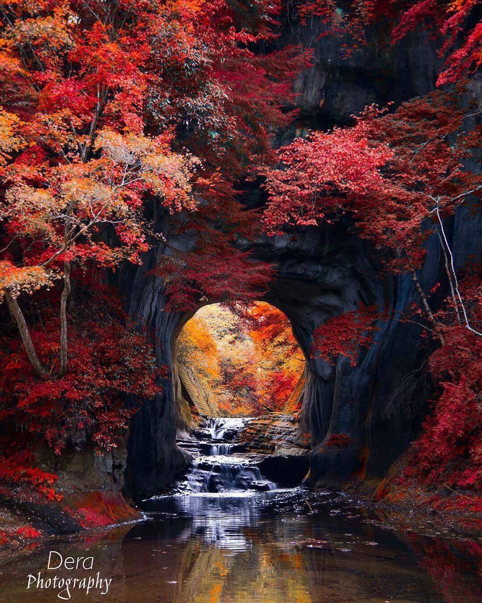 PicPublic tweet picture