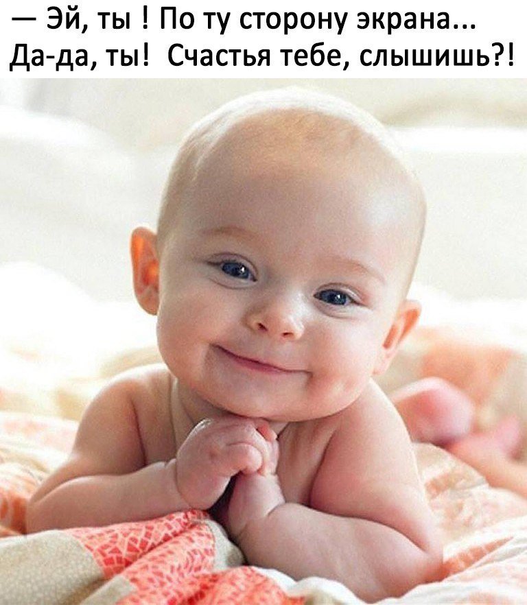 #ГэрриФолловитТотошу