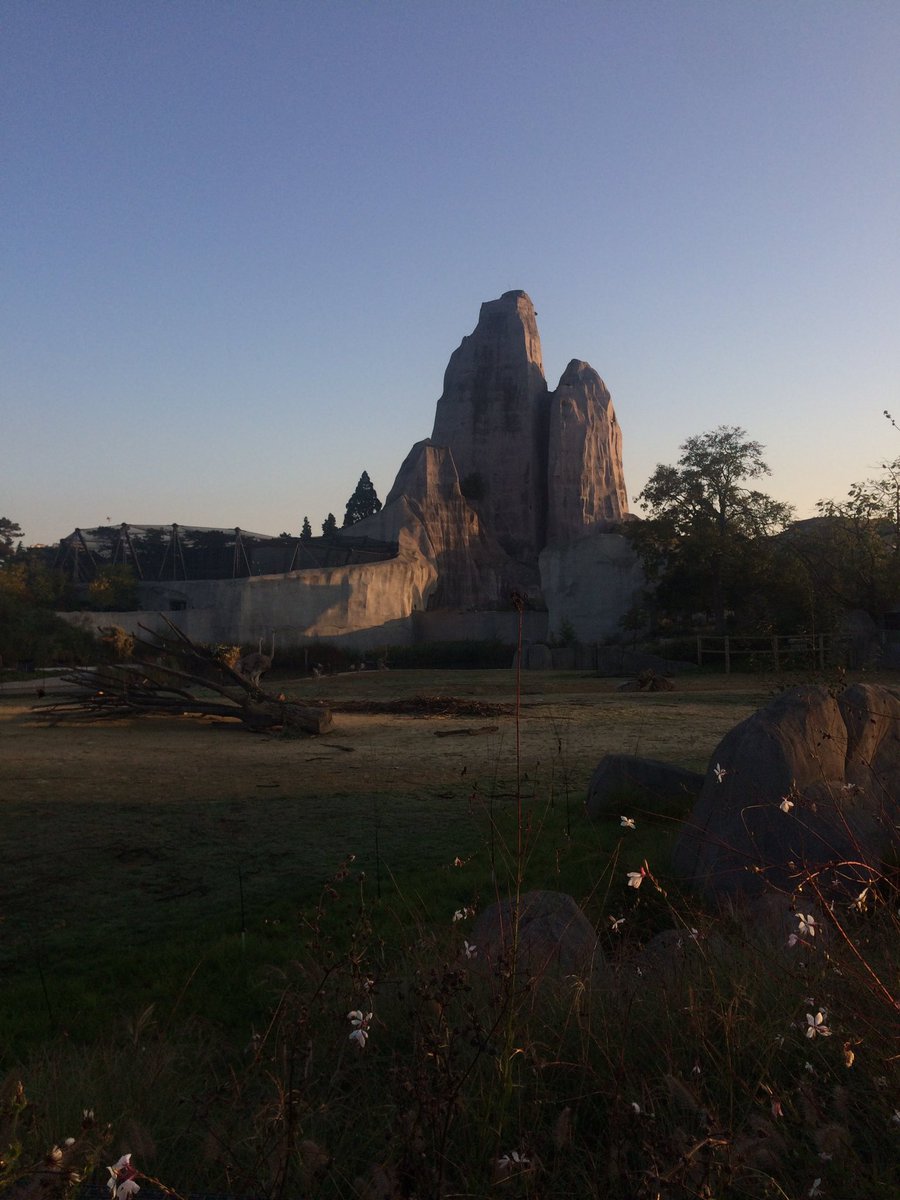 #ParisZooRun, c'est parti ! 👏🏃‍♀️
