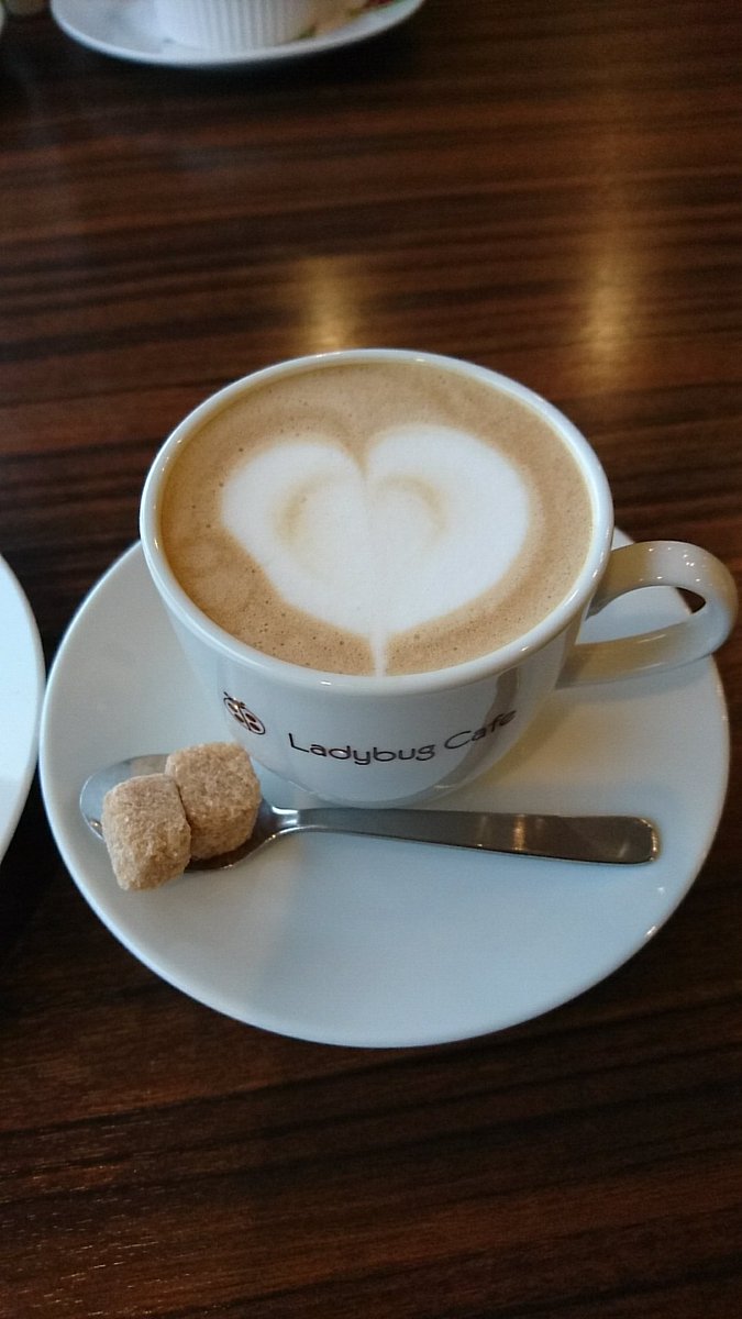 naga620's tweet photo. Ladybugcafeにて デザートも❤
#Ladybugcafe #デザート https://t.co/515hNzgpgT