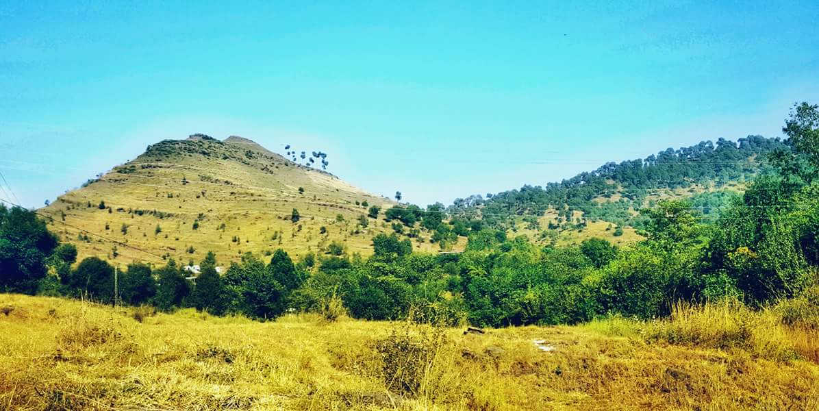 PakistanNature1's tweet photo. وادی بناہ کھوئیرٹہ کوٹلی آزاد کشمیر
#KashmirPictures #Kotli #AzadKashmir
#PakistanZindabad #BeautifulPakistan #PakistanPicture #Valley https://t.co/GvN1vgFJUF