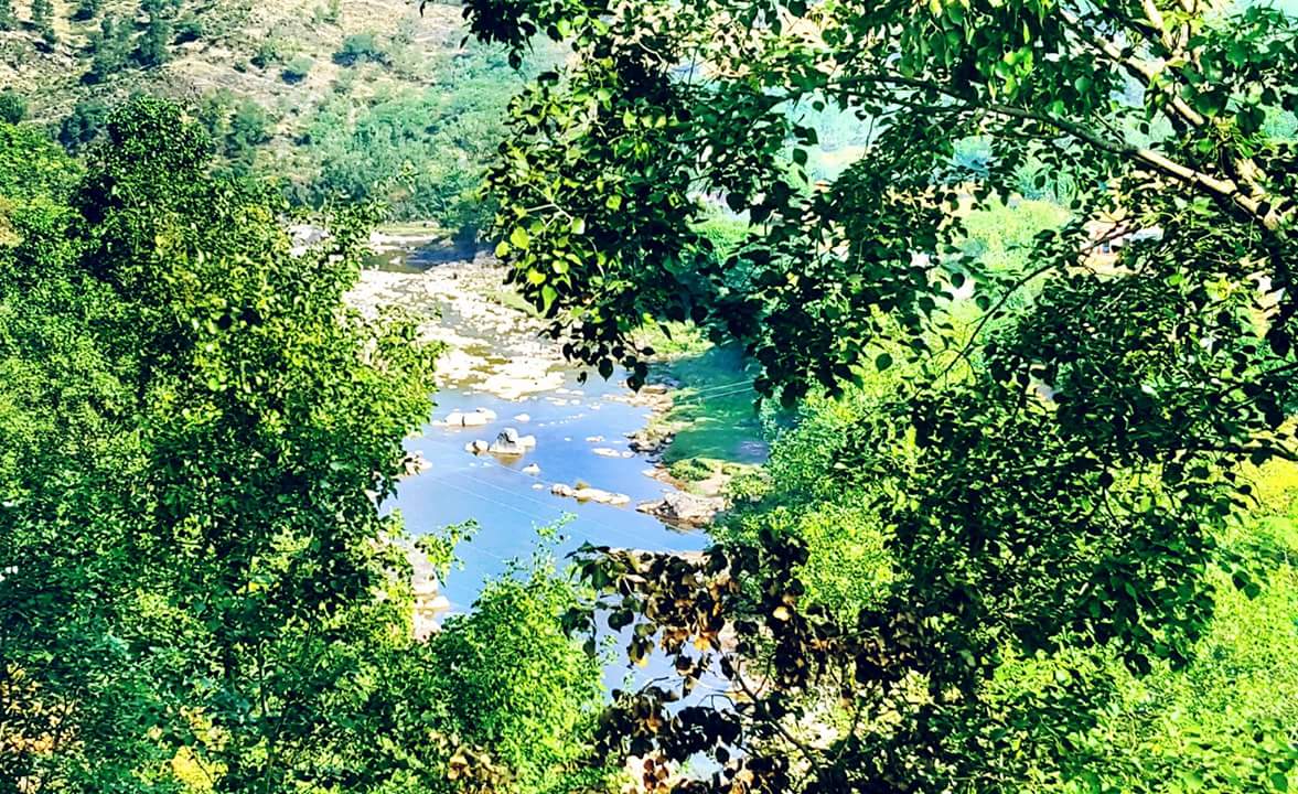 PakistanNature1's tweet photo. وادی بناہ کھوئیرٹہ کوٹلی آزاد کشمیر
#KashmirPictures #Kotli #AzadKashmir
#PakistanZindabad #BeautifulPakistan #PakistanPicture #Valley https://t.co/GvN1vgFJUF