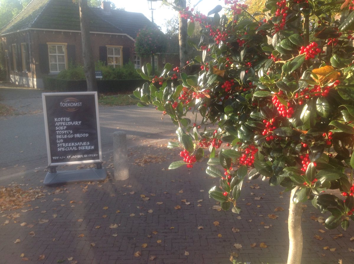 Cafeesterij Toekomst tweet media