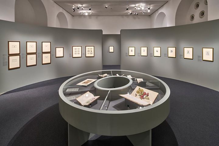 staedelmuseum's tweet photo. Für aufmerksame EntdeckerInnen: unsere Ausstellung zur Künstlerin, Forscherin &amp; Frankfurterin #MSMerian 🌿🐛 https://t.co/dHyoit4NOs #MSMerian https://t.co/LGR6Darsol