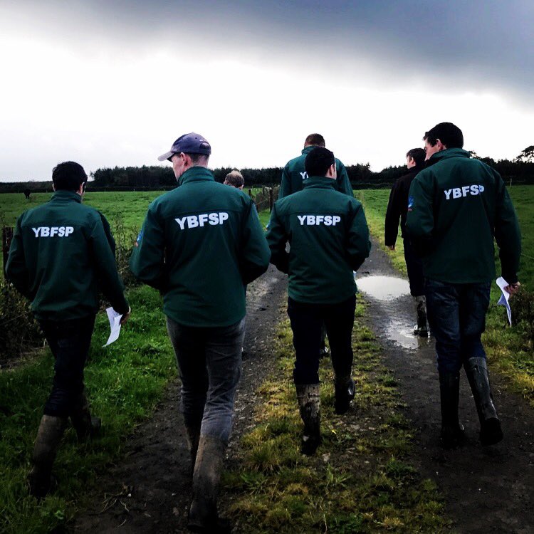 Young Irish Beef Farmers . . . Heading into the storm? #ybfsp #dawnmeats #macranafeirme #beeffarmers #brexit #futureofirishag