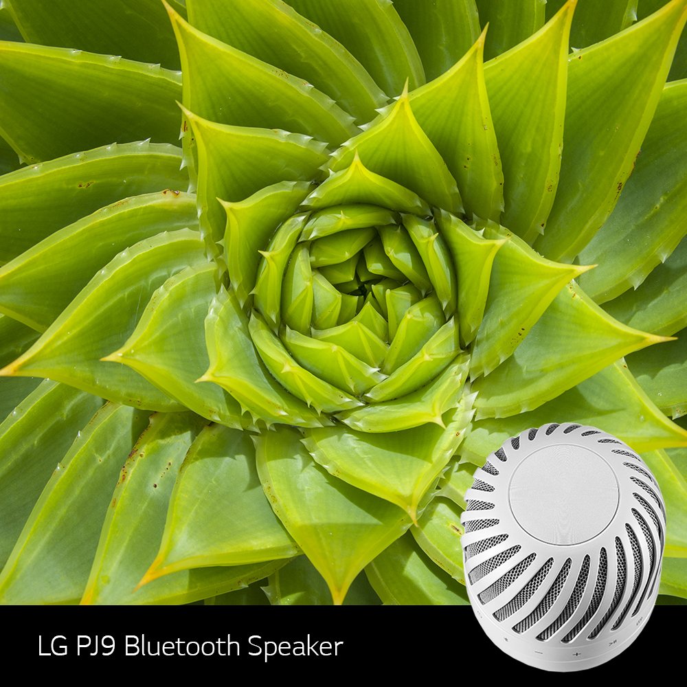 LGGulf's tweet photo. #LG #PJ9 #BluetoothSpeaker blades help to deliver a rich crisp non directional sound.
https://t.co/EEjCfGi1f3
#LEVITATINGSPEAKER #LGGulf https://t.co/AUct48AmzE