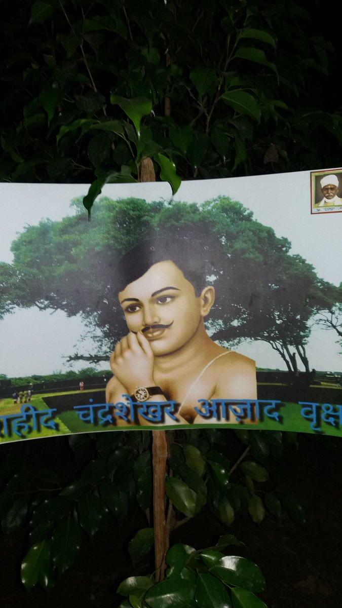ranjan_reshav's tweet photo. @DrKumarVishwas @narendramodi @ANI  @aajtak @ZeeNews bhu के मूना देवी छात्रावास में दिवाली अनूठा तरह से मनाते हुए वृक्ष का नामकरण किया गया https://t.co/bNJEFL7xf4