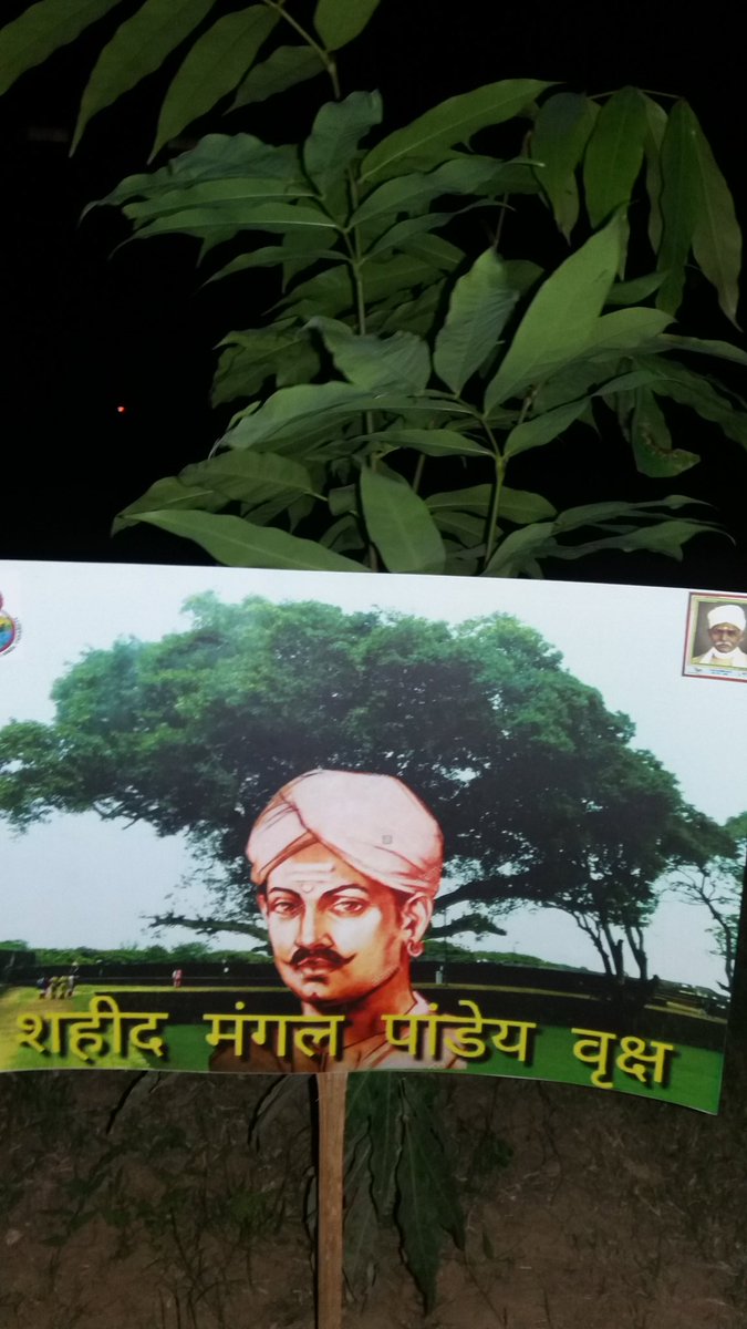 ranjan_reshav's tweet photo. @DrKumarVishwas @narendramodi @ANI  @aajtak @ZeeNews bhu के मूना देवी छात्रावास में दिवाली अनूठा तरह से मनाते हुए वृक्ष का नामकरण किया गया https://t.co/bNJEFL7xf4