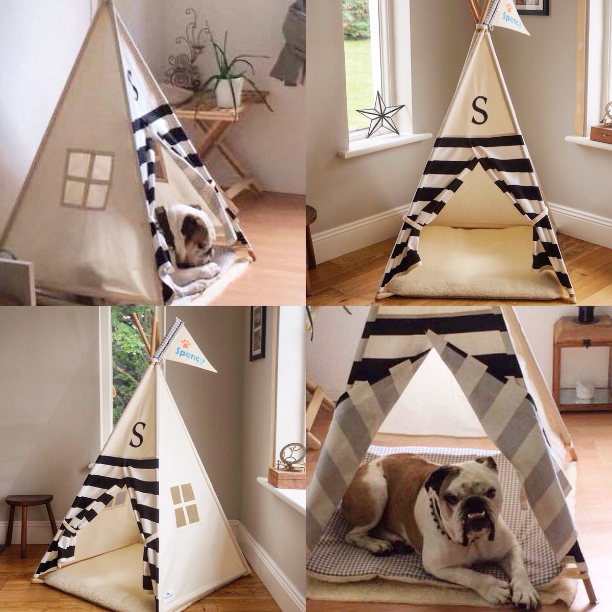 mapleandspud's tweet photo. @AlisonTodayFM Hi Alison, We make a range of Pet Teepees here in Ireland at Maple and Spud in Carrick-on-Suir Co. Tipp https://t.co/KWxUJptb59