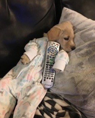 TheStyle360's tweet photo. Sweet dreams 💕💝 https://t.co/cf746cCpvM