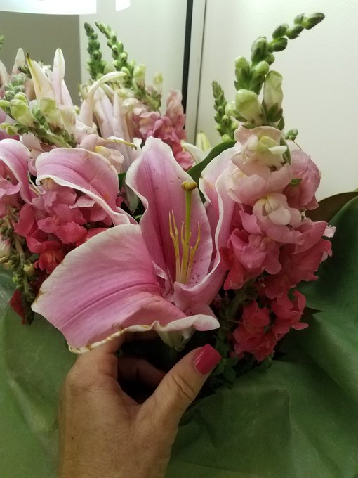 Thank you for warm Sydney reception. Great city tour, beach and #gymworkout Always great to visit! #femalemuscle #fitexpo<a href="/tag/gymworkout"class="tags"><span>#gymworkout</span></a><a href="/tag/femalemuscle"class="tags"><span>#femalemuscle</span></a><a href="/tag/fitexpo"class="tags"><span>#fitexpo</span></a>