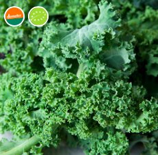 FstoneFood's tweet photo. Top picks for this weeks #foodaseembly No.1 Kale to make crispy #kale the ultimate #autumn #snack! #shoplocal #ethical RT @KentFoodies https://t.co/2huXZ6bkxk