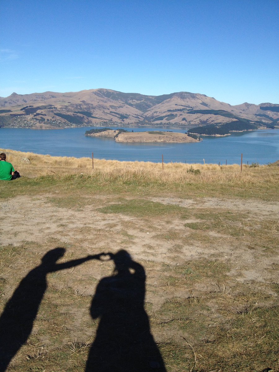 FrankieMac71's tweet photo. Wrapping up the #MHAWNZ #photocomp #Natureiskey to happiness! Time in nature is good for the soul https://t.co/84RUktjOFK