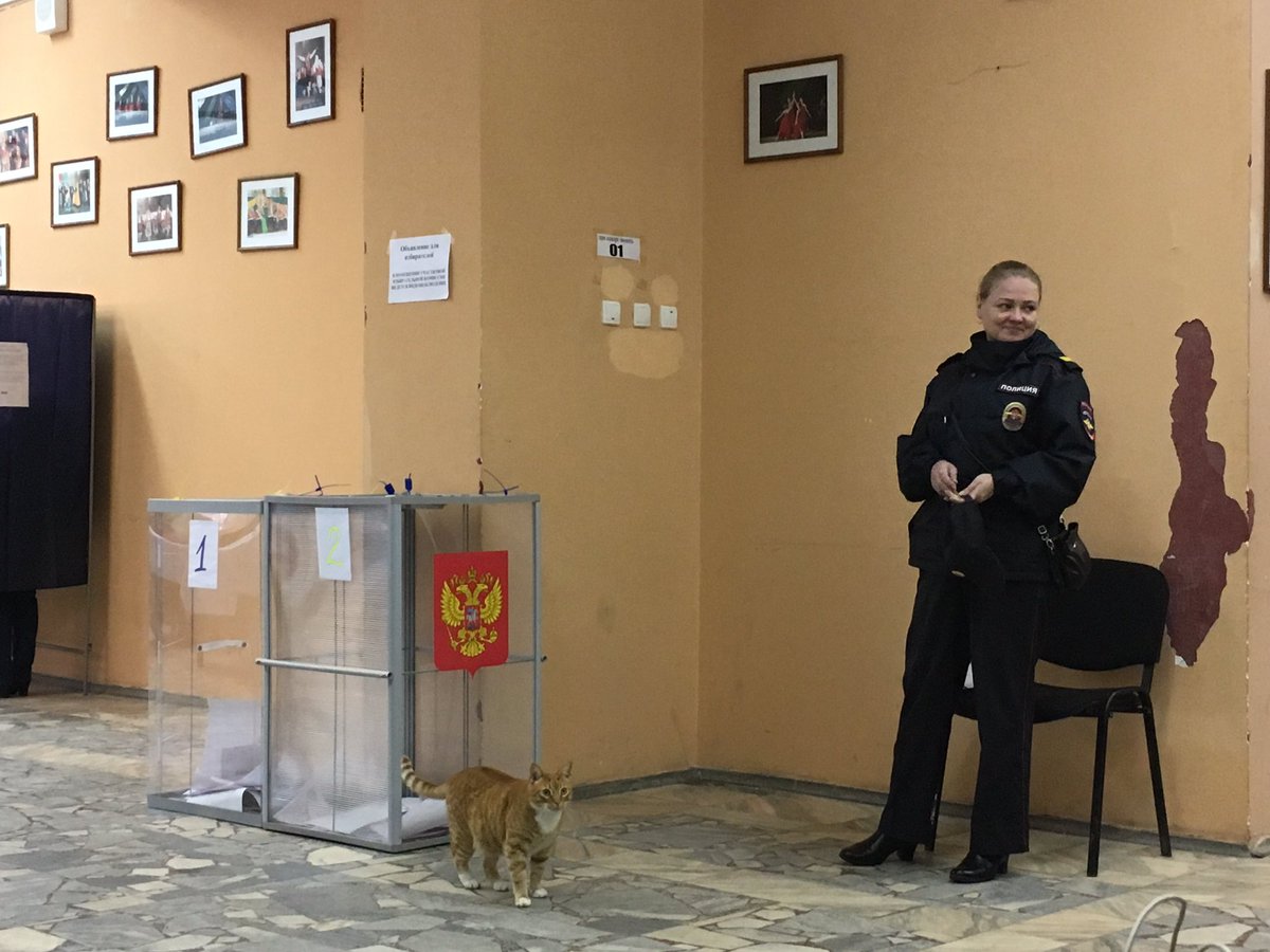 Ну вот и долгожданный Рыжий) #УИК181 #Морозовка