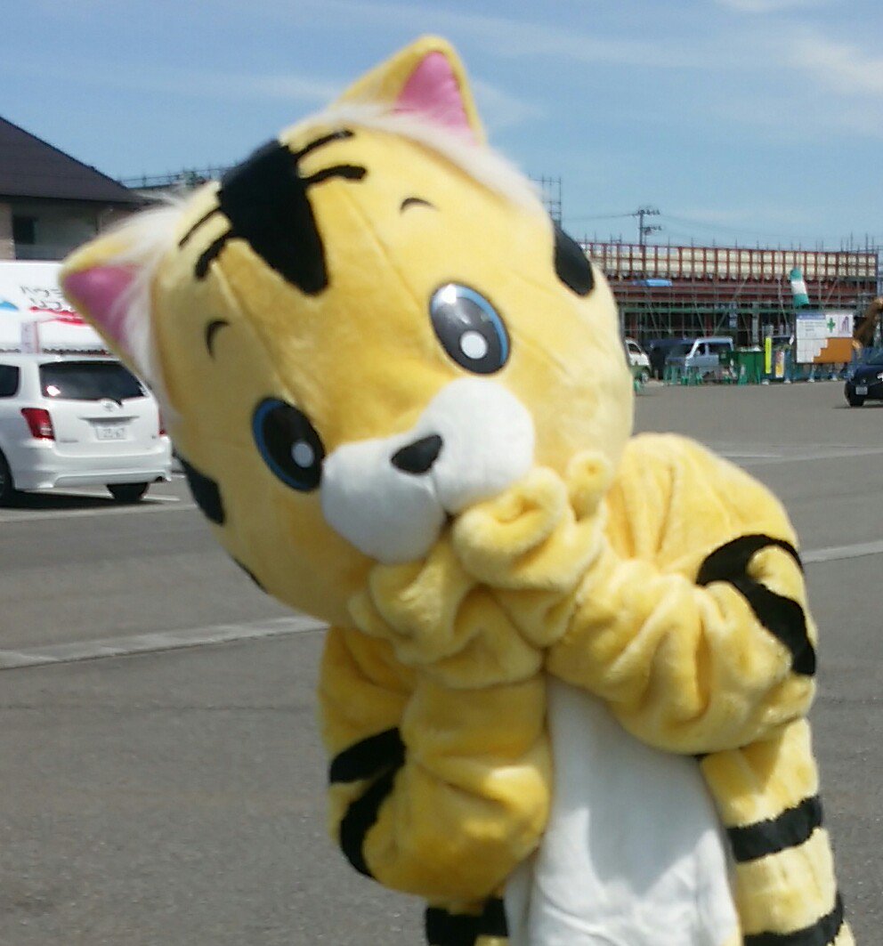 池田 最初は着ぐるみのトラでした このタグを見た人は昔使っていたアイコンを貼る T Co Ovfk2vo1c7 Twitter