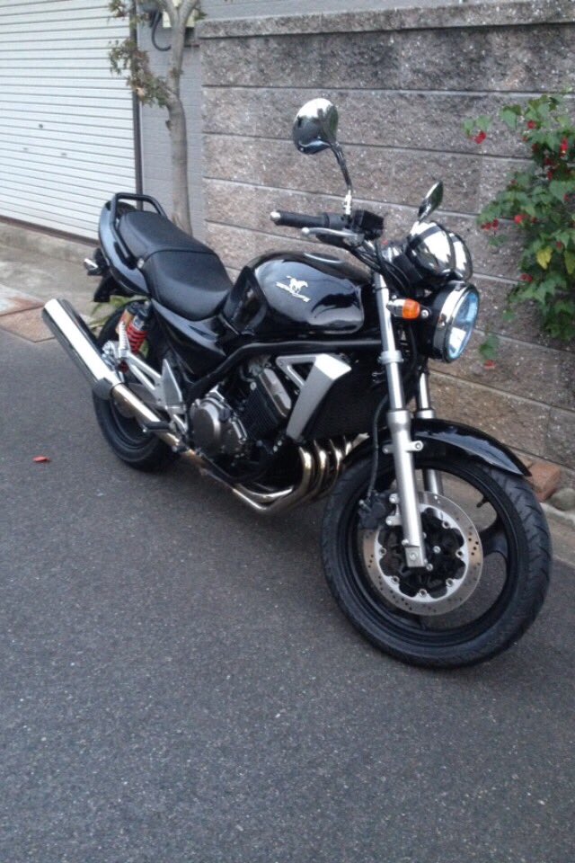 ぽーたん tweet media