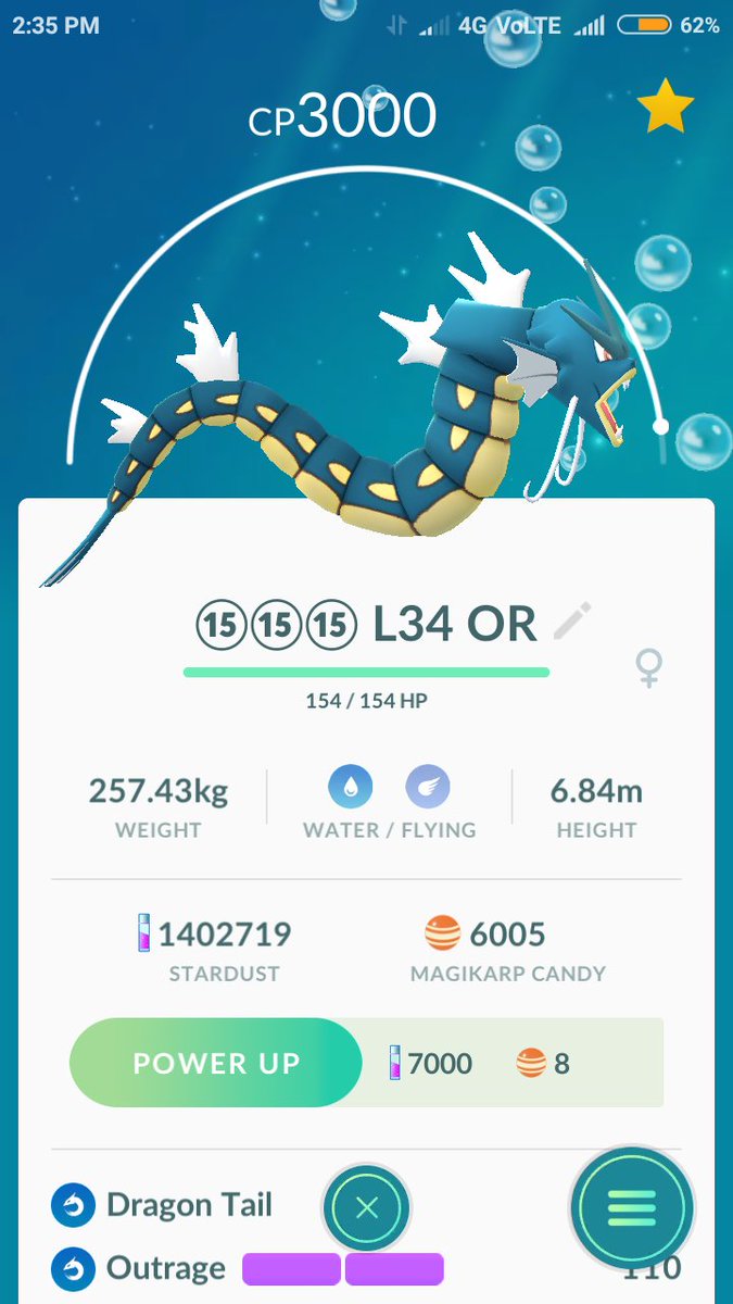 akshitn007's tweet photo. @pokemurph
My candy gains since yesterday
#candycontest #magikarpcandies https://t.co/AbbU2dtUWg