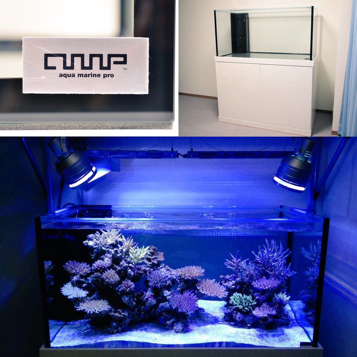 Cot Up コットアップ A M P水槽はアクアリウムショップにて販売中 耐久性抜群のブラックシリコンで製作し ワームプロテクト加工により長年にわたり 安心してご使用いただけます オプション加工も充実 T Co Evkawnyn0o T Co Cot Up コットアップ A M P水槽はアクアリウムショップにて販売中 耐久性抜群のブラックシリコンで製作し ワームプロテクト加工により長年にわたり 安心してご使用いただけます オプション加工も充実 T Co Evkawnyn0o T Co