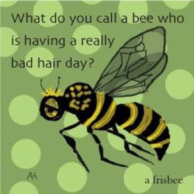 I love it, people are sending me all these bee jokes 😍 @matwhi https://t.co/Sz30zhg2qw<a href="/tag/thefrontbar"class="tags"><span>#thefrontbar</span></a>