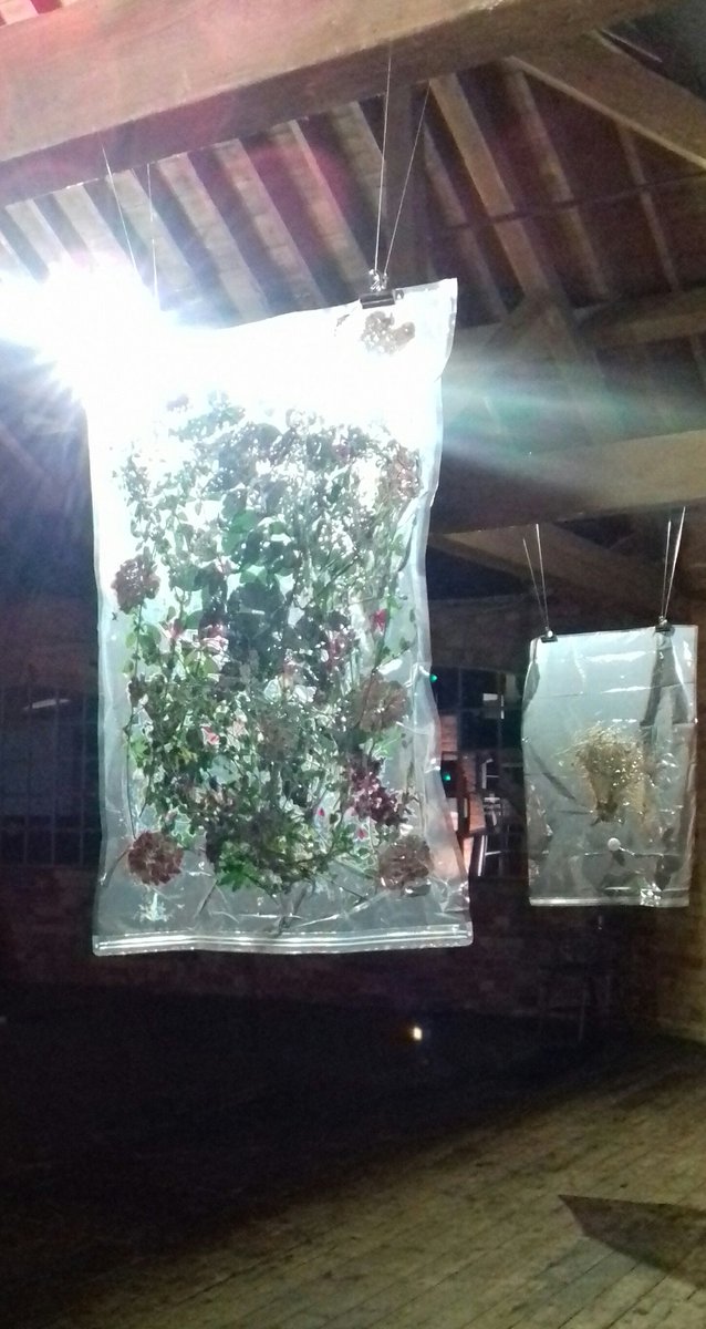 anya_c_m's tweet photo. my installation 'The Anatomy of Fading' current show #VirtualityMortality run by @XArtsProjects @ArtsAlumni @WeAreUglyDuck @LauraDekker_io https://t.co/XzuiJ4z0KC
