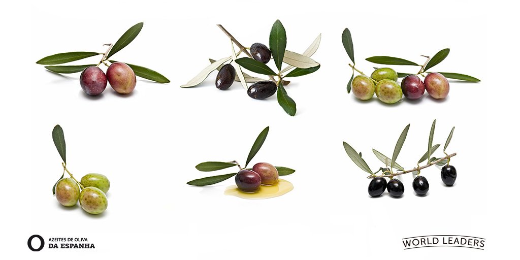 Mais de 260 variedades de azeitonas são cultivadas na Espanha, você sabia disso?