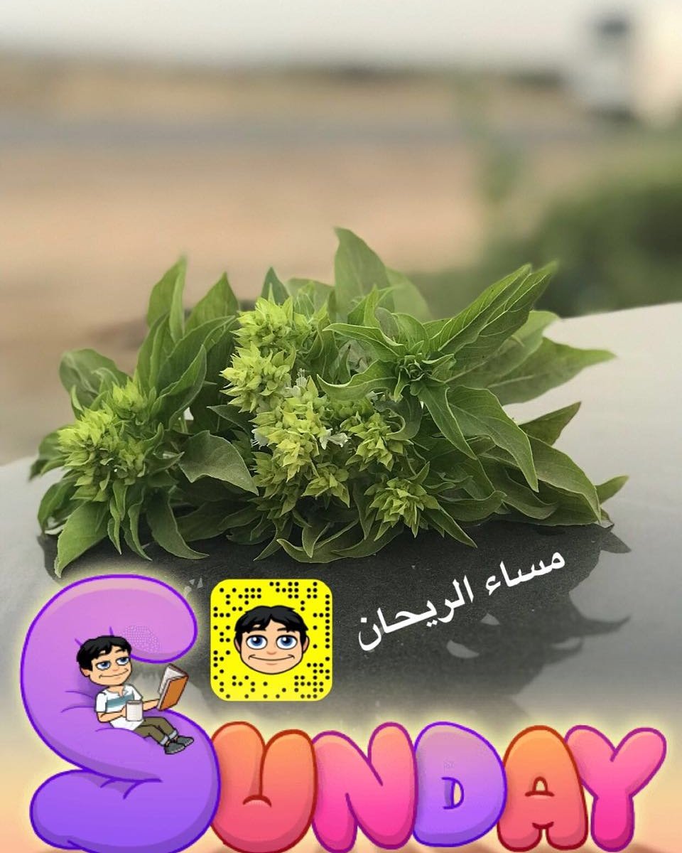 a121_hanin's tweet photo. https://t.co/ECxjUQC6RR