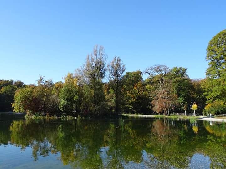 AMPhotographie3's tweet photo. Autumn is coming
#sunnysunday #autumncolours #sauvabelin #lausanne #switzerland #a.m.photographie https://t.co/P3ensNKg7t