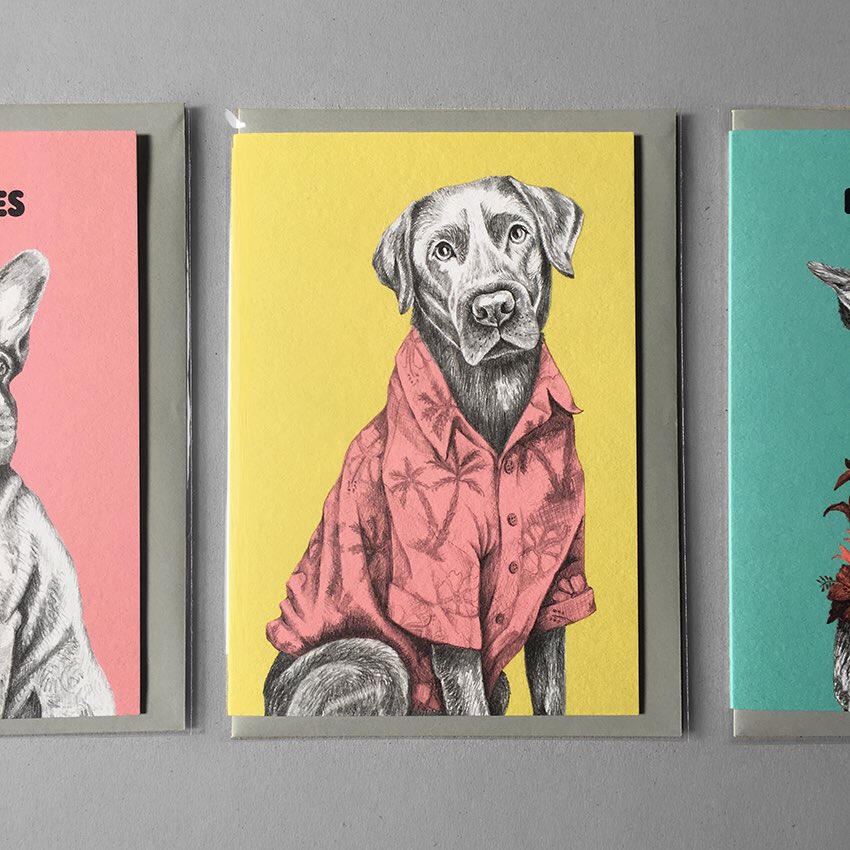 alohacalling's tweet photo. Summer’s back - one last outing for the Hawaiian shirts? 
.
.
#aloha #labrador #greetingcards #illustration #sunnyday #surfdog #sun https://t.co/38ZK2NdFlI