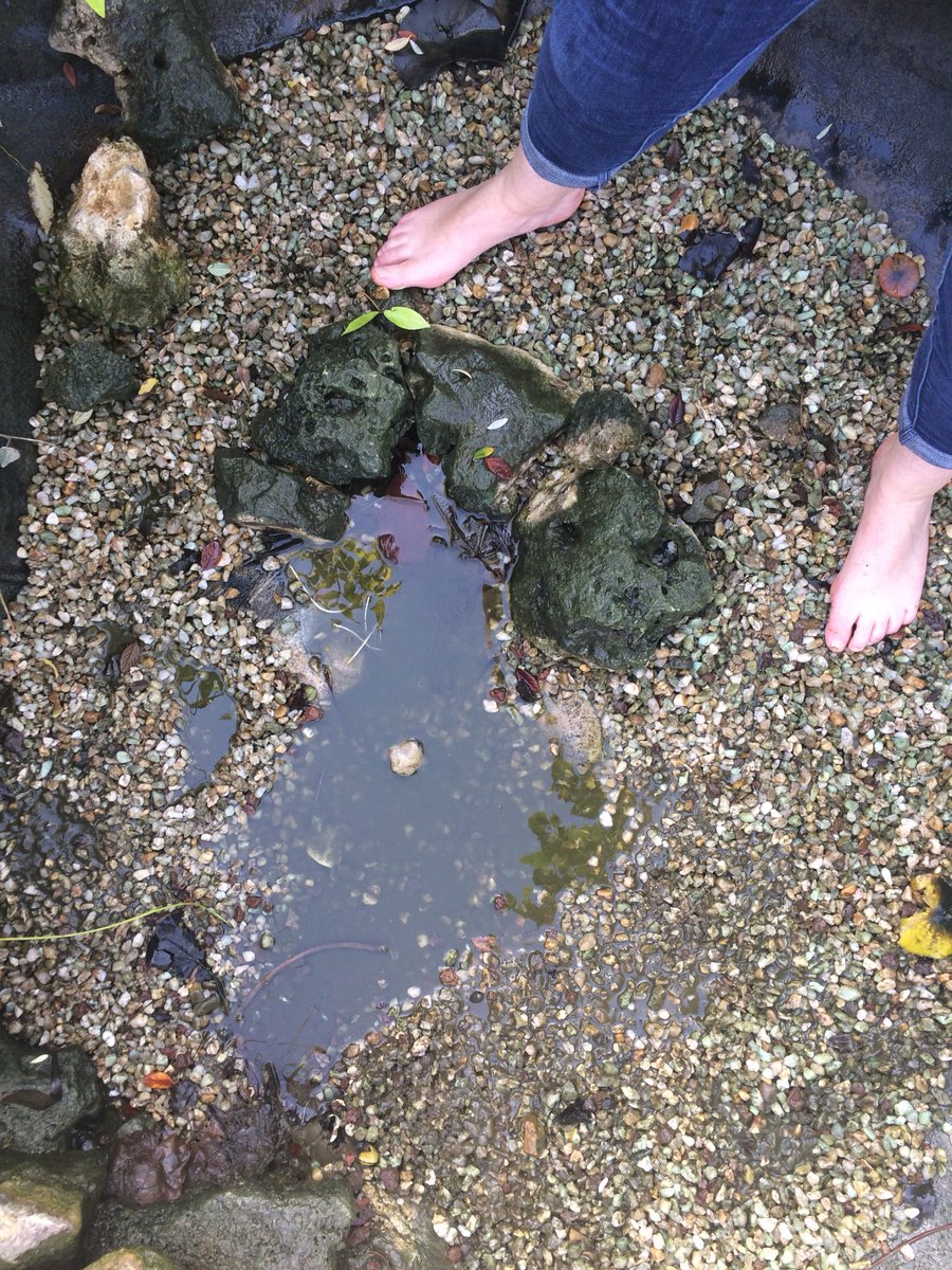 CarolineRaby's tweet photo. #Sunburns &amp; #Afternoon #FeetInTheMud but #SuchFun clearing space for #Mum’s fishes 😂
Shower won’t be luxury 🐠👃🏻 https://t.co/c6Rh9A4S50